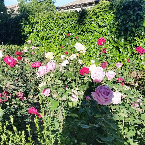 Jardines Exteriores